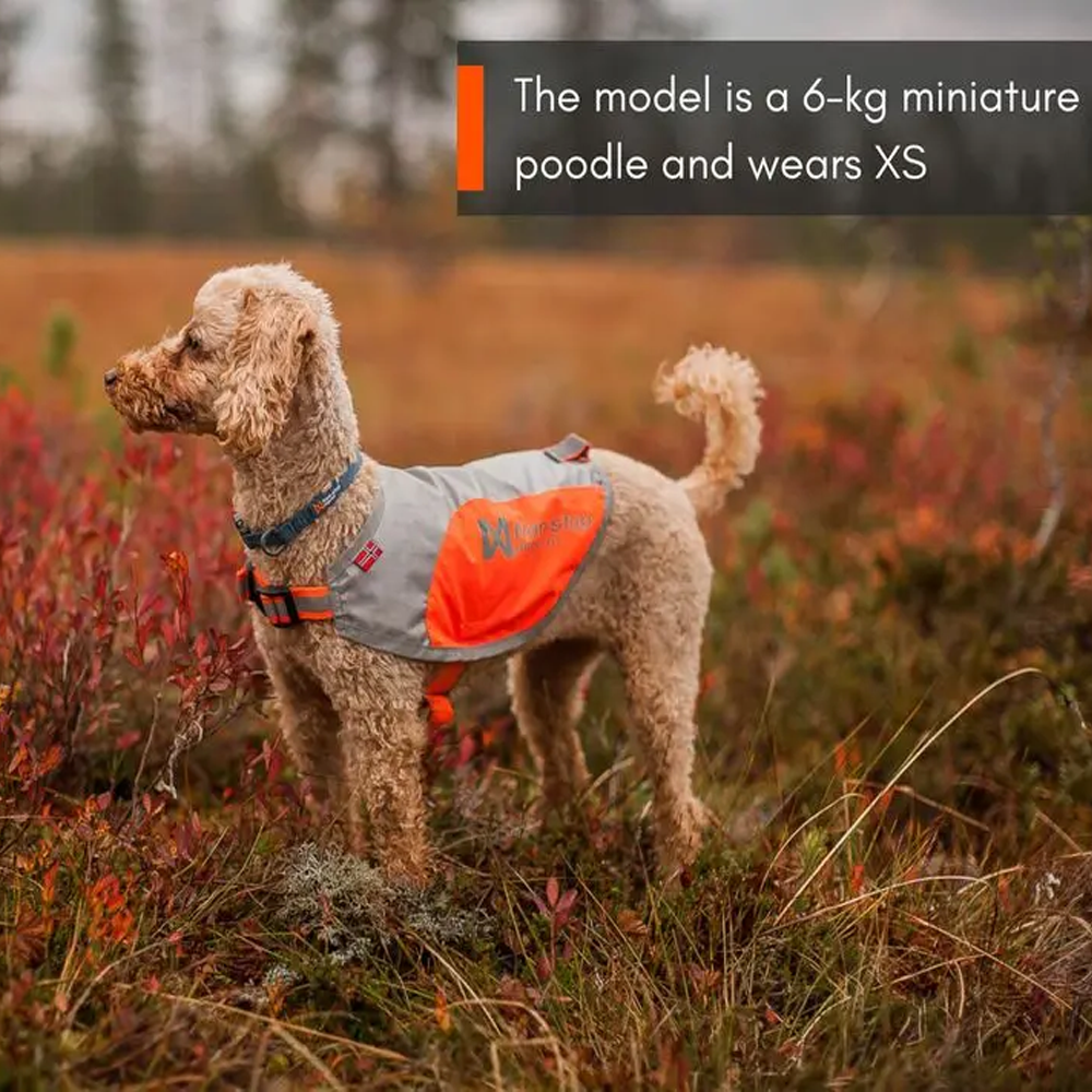 Reflection Blanket NonStop