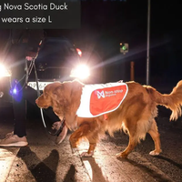 Reflection Blanket NonStop