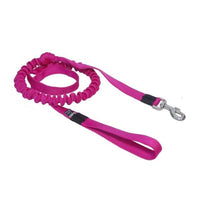Sali Bungee-Leine – elastische Zughundeleine für Canicross, Bikejöring & Dogscooter