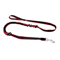 Sali Bungee-Leine – elastische Zughundeleine für Canicross, Bikejöring & Dogscooter