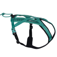 Rush Harness Hundegeschirr Minzfarben