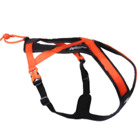 Hundegeschirr Rush Harness in orange