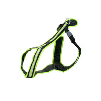 SAFETY Führgeschirr – komfortables Alltagsgeschirr