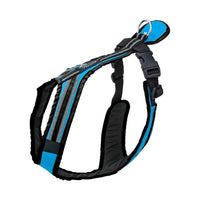 SAFETY Führgeschirr – komfortables Alltagsgeschirr