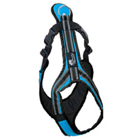 SAFETY Führgeschirr – komfortables Alltagsgeschirr