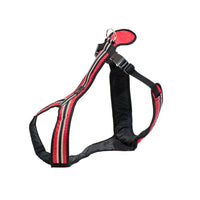 SAFETY Führgeschirr – komfortables Alltagsgeschirr