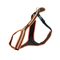 SAFETY Führgeschirr – komfortables Alltagsgeschirr