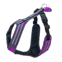 SAFETY Führgeschirr – komfortables Alltagsgeschirr