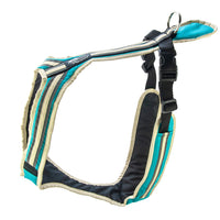 SAFETY Führgeschirr – komfortables Alltagsgeschirr