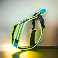 Das Safety Fuehr und Zuggeschirr von Uwe Radant in der Farbe Tuerkis Neongrün