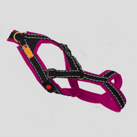 Nukka® Trailgeschirr 1size – verstellbares Zug- & Trailgeschirr