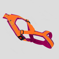 Nukka® Trailgeschirr 1size – verstellbares Zug- & Trailgeschirr