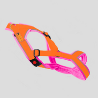 Trailgeschirr Snowpaws Nukka