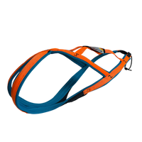 Zuggeschirr Sledwork G2 in Sonderfarben freigestellt 2