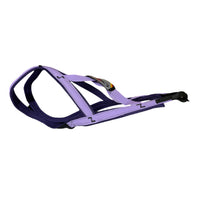 Zuggeschirr Sledwork G2 in Sonderfarben freigestellt 8