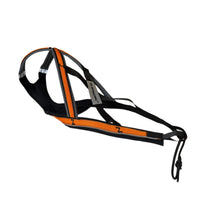 Das Zuggeschirr Sledwork G3 in Sonderfarben 3