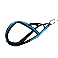 Sledwork G2 Sonderedition Schwarz Cyan