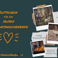 Gutschein Husky Erlebniswochenende