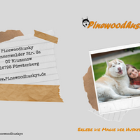 Gutschein Husky Erlebniswochenende