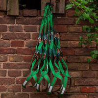 InuaDogs X-Back / Grün / Mystic Owl