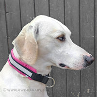 Halsband Soft Zugstopp