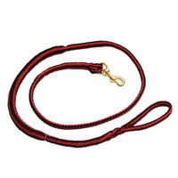 PE Jöringleine 2,5m für 1 Hund