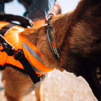 Non-stop dogwear Safe Life Jacket 2.0