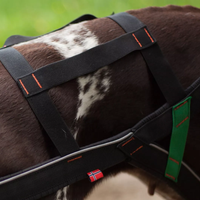 Non-stop Dogwear Nansen Stick Harness