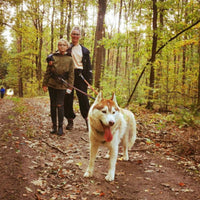 Gutschein Husky Erlebnis Wochenende
