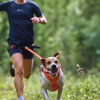 Non-stop Dogwear Freemotion 5.0, H-Back