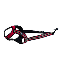 FASTER Zuggeschirr Weltmeister