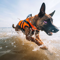 Non-stop dogwear Safe Life Jacket 2.0