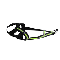 FASTER Zuggeschirr Weltmeister