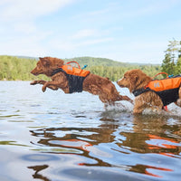 Non-stop Dogwear Protector Life Jacket