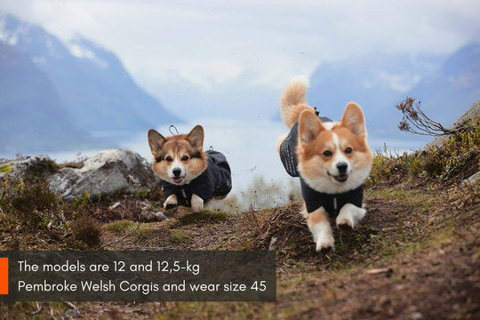 NonStop Fjord Regenmantel