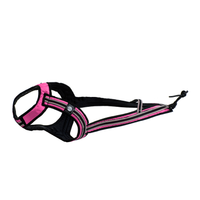 FASTER Zuggeschirr Weltmeister