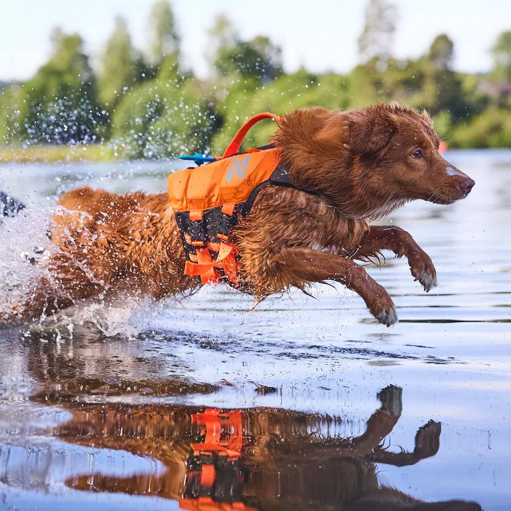 Non-stop Dogwear Protector Life Jacket