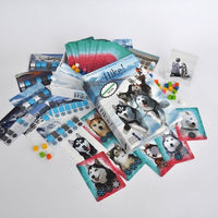 Hike! Das Karten Racing Spiel mit Huskys