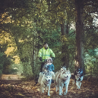 Gutschein Husky Schlittenfahrt (auf Räder)