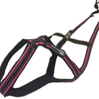 Zero DC Cross Zuggeschirr