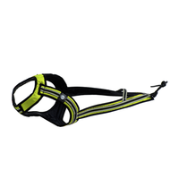 FASTER Zuggeschirr Weltmeister