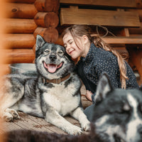 Gutschein Husky Erlebnis Wochenende