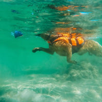 Non-stop dogwear Safe Life Jacket 2.0