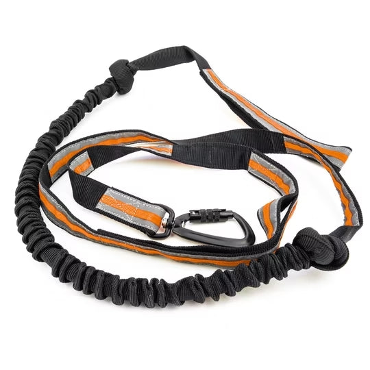 Jöringleine Schlauchband Bungee