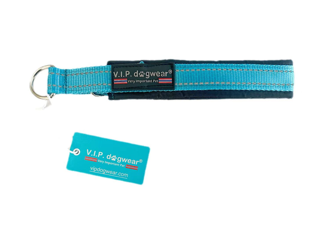 VIp Dogwear Zugstopphalsband in Türkis zeite ansicht
