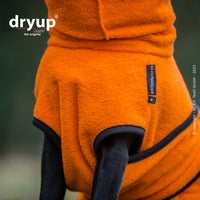 Ein Foto vom Brustbereich eines schwarzen Hundes, der ein oranges Dryup Cape Hundebademantel traegt