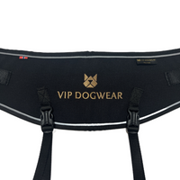 Laufgürtel von VIP Dogwear in Schwarz von hinten