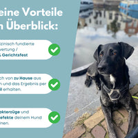 DNA Hunderassenbestimmung