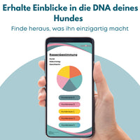 DNA Hunderassenbestimmung
