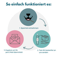 DNA Hunderassenbestimmung